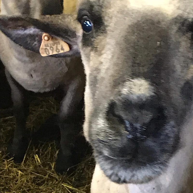 782765bc 1d9c 4dd2 95c3 68b2a307f946