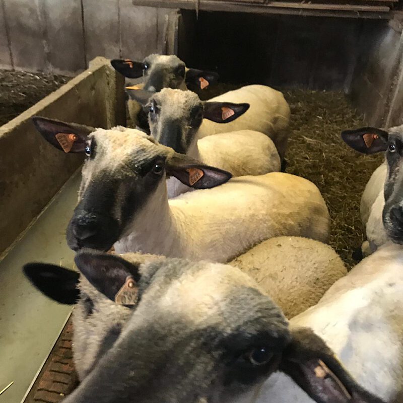 Dcc768cb 79f8 4411 82fa 1f949f41fcb6