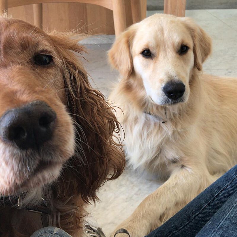 Ed6cd26b a7b6 4cf0 93cc c0208248be92