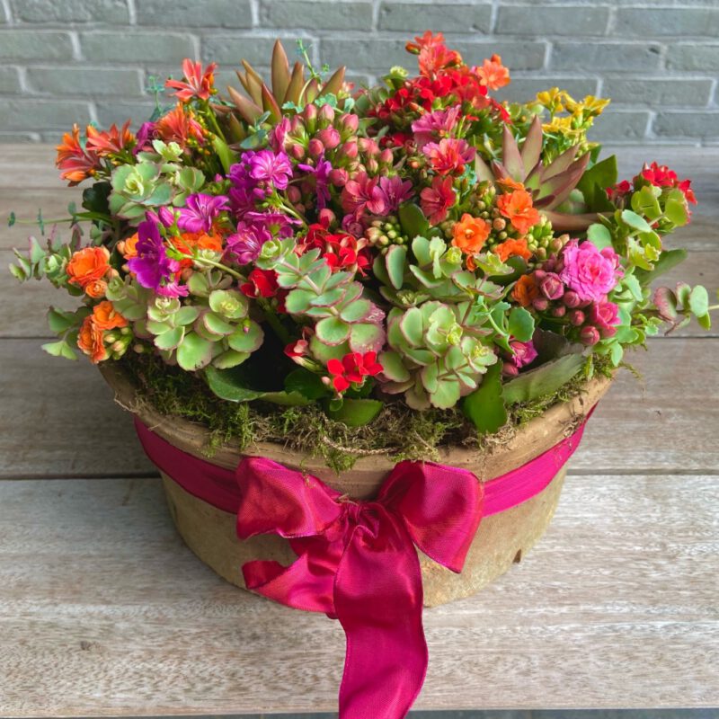 Thumb 8 CFDB485 893 E 4915 A0 B5 1 EBD3 F142 DDC 1024