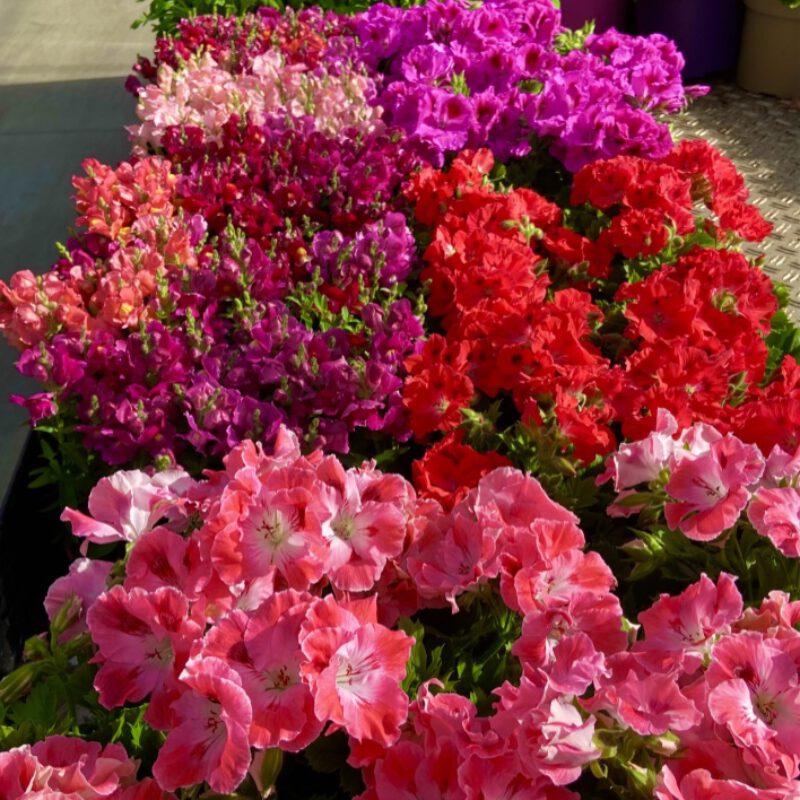 Thumb IMG E7266 1024