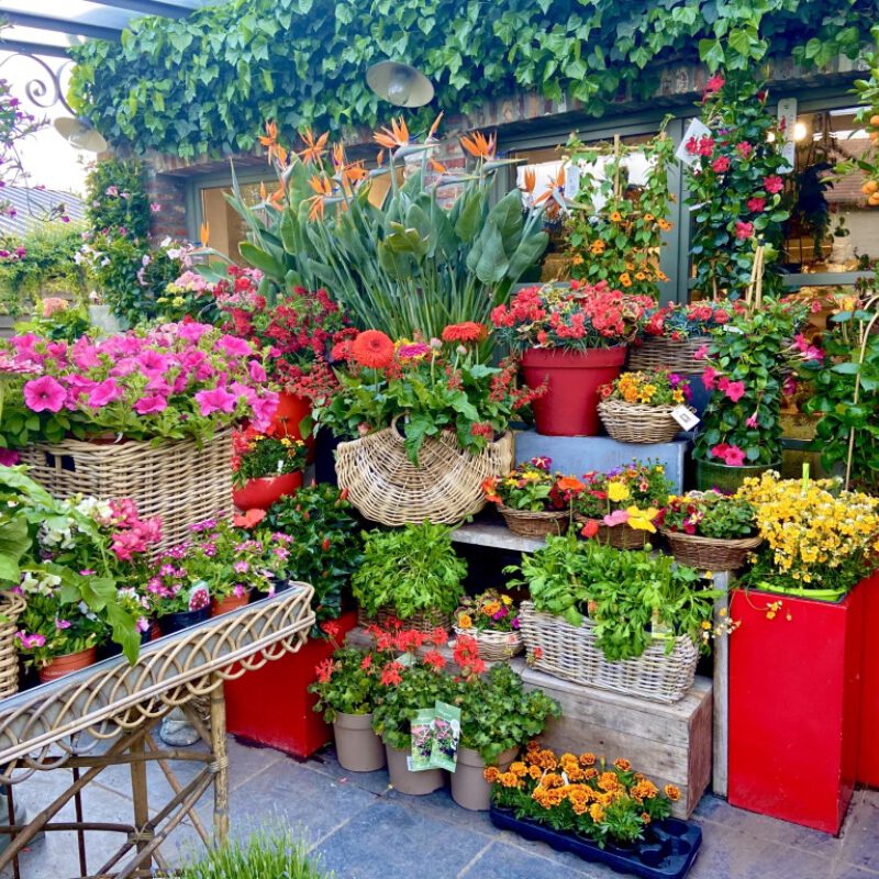 Thumb IMG E7290 1024