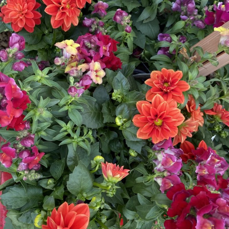 Thumb IMG E7292 1024