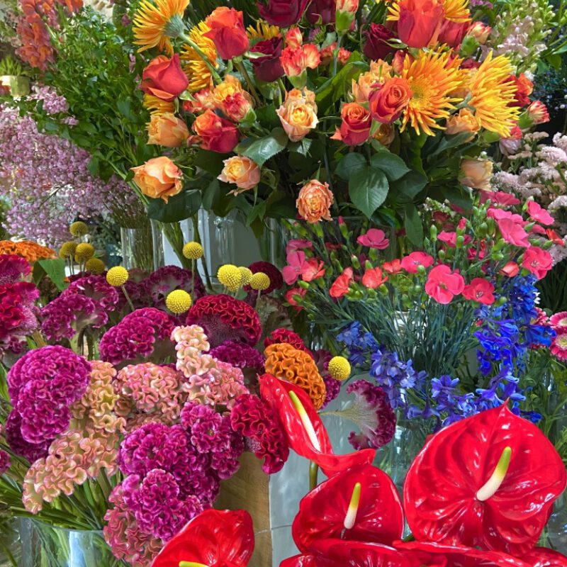 Thumb IMG E7372 1024