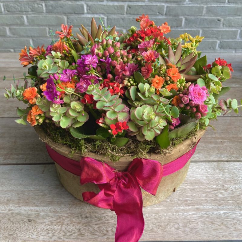 Thumb IMG E7391 1024