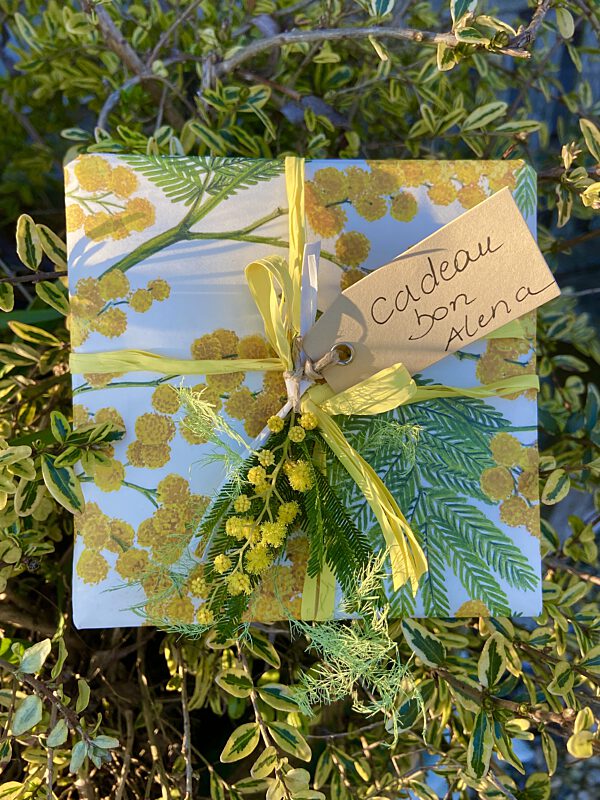 Cadeaubon mimosa