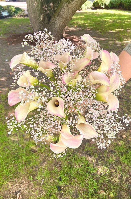 Callas fris roze