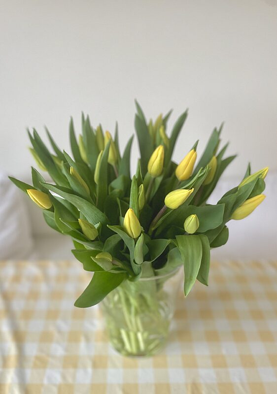 Catch 25 tulpen voor 20 euro