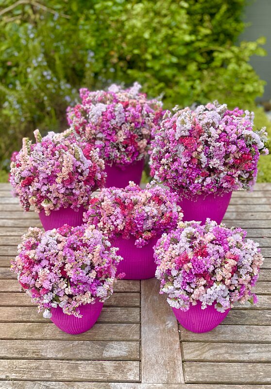 Catch bloemstuk met statice large medium en small