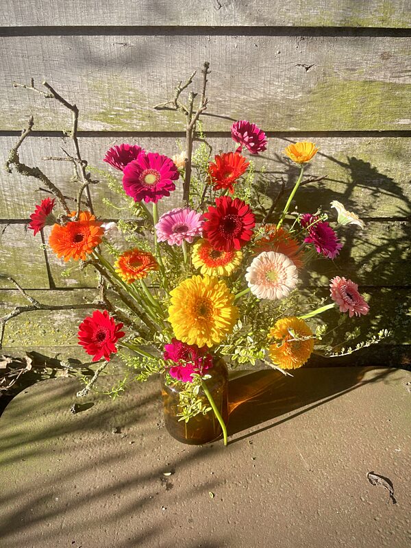 Catch boeket gerbera mix