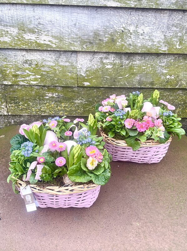 Catch buitenmand met plantjes roze mix