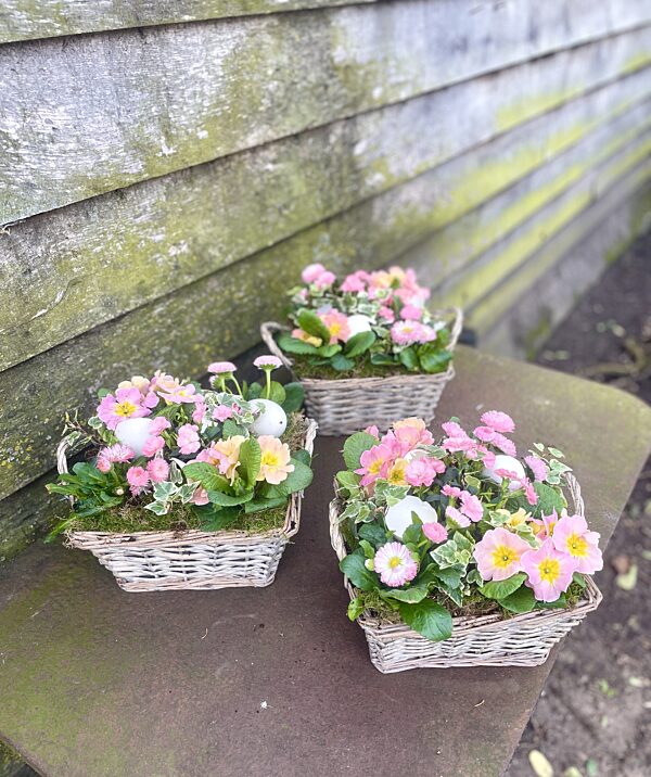 Catch buitenmandje roze mooi