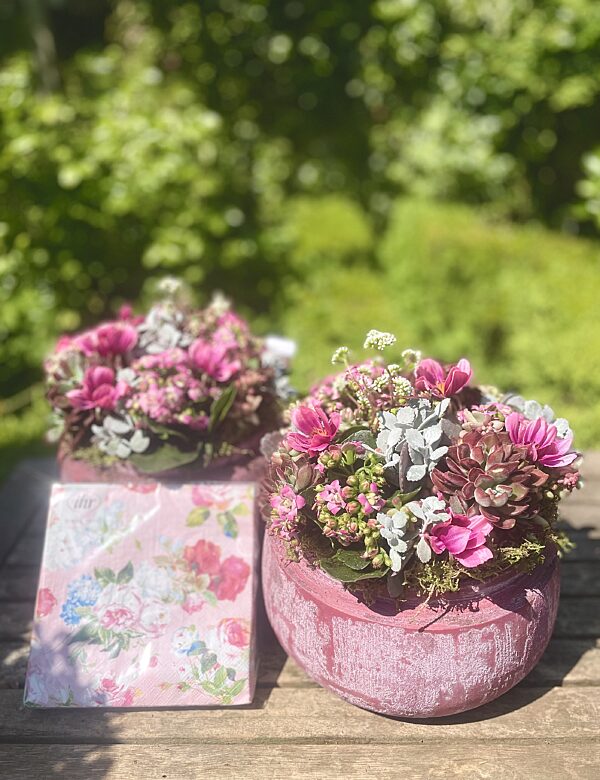 Catch fuchsia plantenpot met vetplantjes