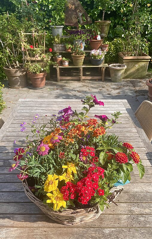 Catch grote mand met gekleurde buitenplantjes