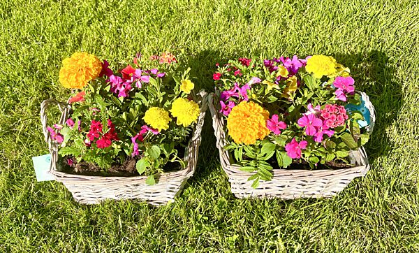 Catch mand met zomerbloeiers