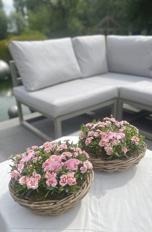 Catch mand vol anjerkes en vlinders roze