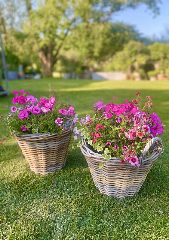 Sfeer buitenmanden en planten