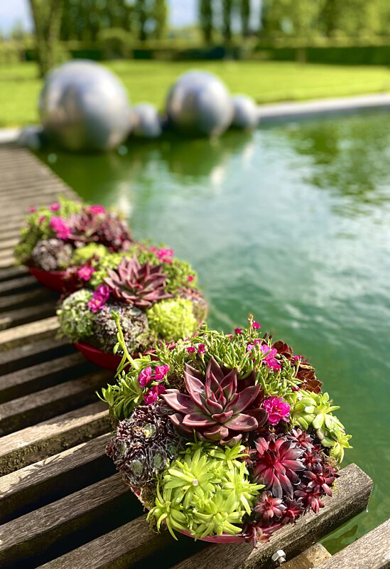 Sfeer plantencoupes aan het water