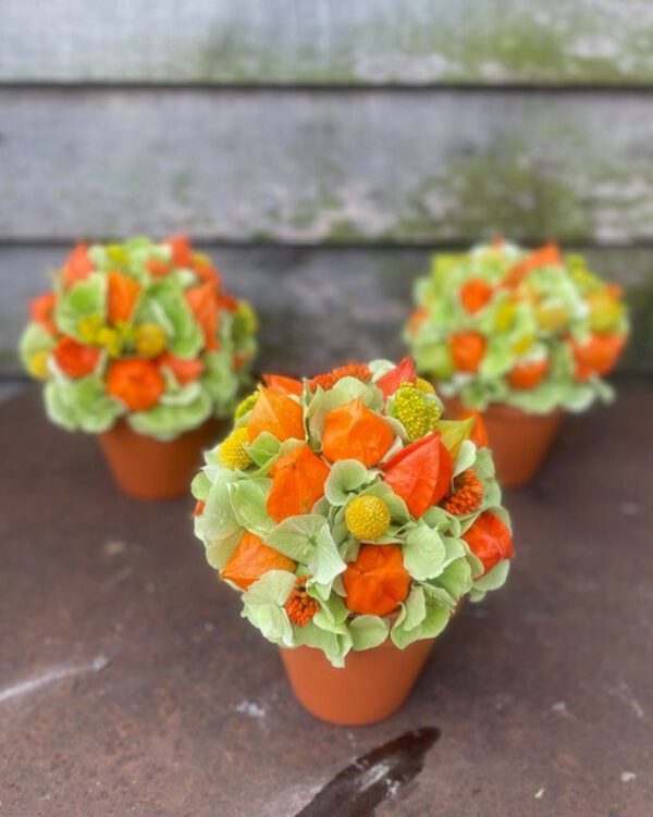 Sfeer terracota potjes met lampion en hortensia